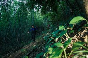 BIB: 
                            <button type="button" onclick="openModal(28124460)" class="btn btn-primary btn-sm float-right btn-popup" data-toggle="modal" data-target=".modal-high-quality">
                        <i class="fas fa-shopping-cart"></i> Add to Cart
                    </button>
                                            <button type="button" onclick="isThisMe(28124460, true)" class="btn btn-success btn-sm float-right btn-popup btn-isme hidden" data-toggle="tooltip" data-placement="bottom" title="นี่คือรูปของคุณใช่ไหม คลิกที่นี่เพื่อเอาเข้าอัลบั้ม">
                        <i class="fas fa-plus"></i> Add to album
                    </button>
                    <button type="button" onclick="isThisMe(28124460, false)" class="btn btn-warning btn-sm float-right btn-popup btn-isnotme hidden">
                        <i class="fas fa-ban"></i> Remove from album
                    </button>